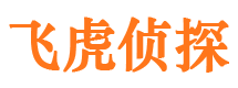 文登市调查公司